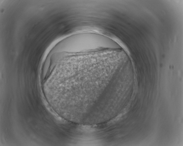 X0000084051104200703161850