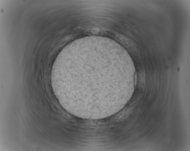 X0000084051105200703161849