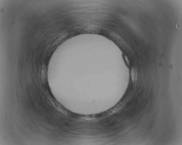 X0000084051107200703161849