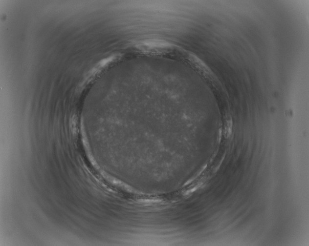 X0000084051108200703161849