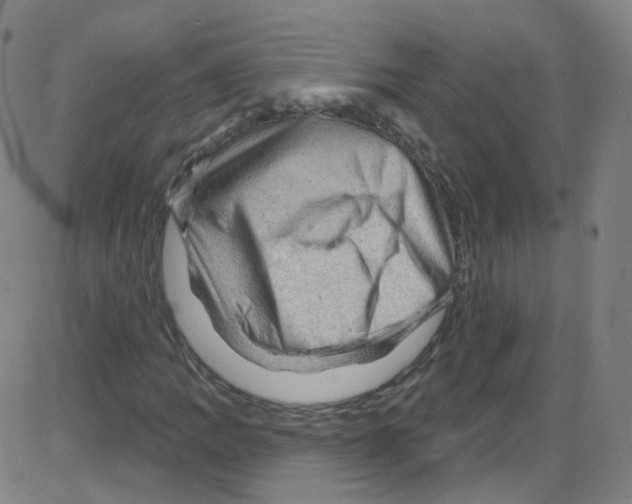 X0000084051109200703161850