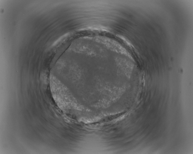 X0000084051110200703161850