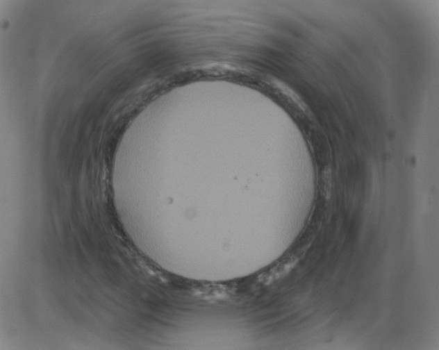 X0000084051111200703161850