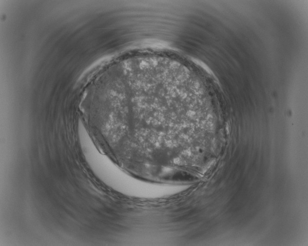 X0000084051112200703161850