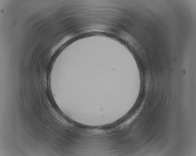 X0000084051113200703161850