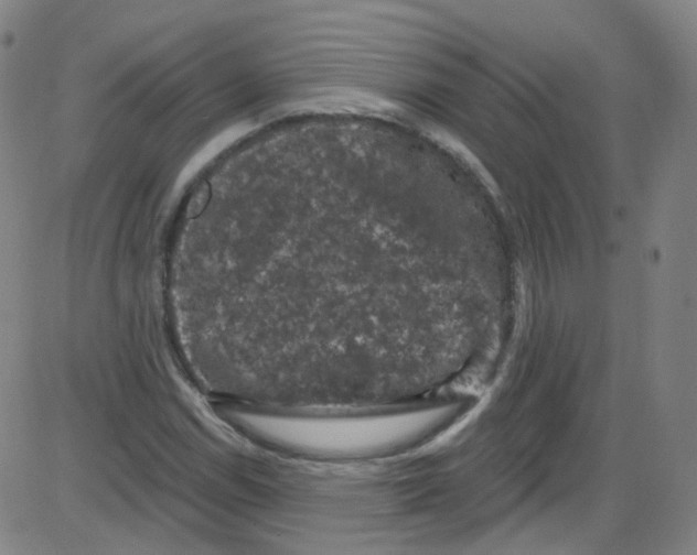 X0000084051114200703161850