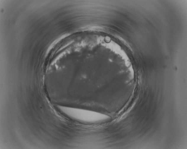 X0000084051117200703161850