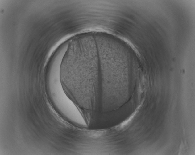 X0000084051118200703161850