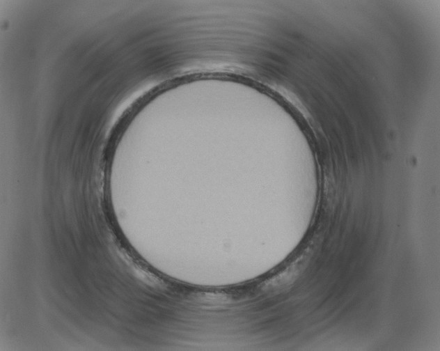 X0000084051119200703161850