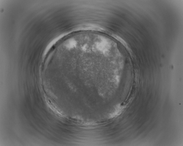 X0000084051120200703161850