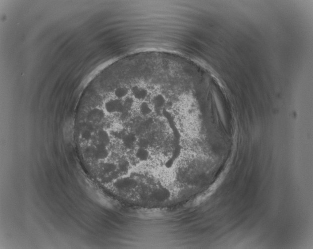 X0000084051121200703161850