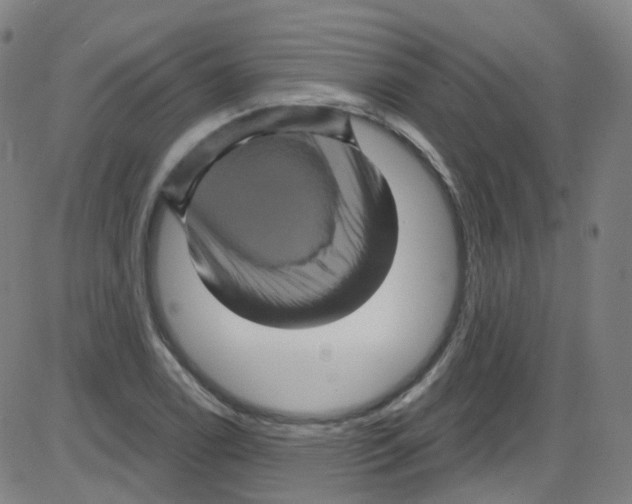 X0000084051122200703161850