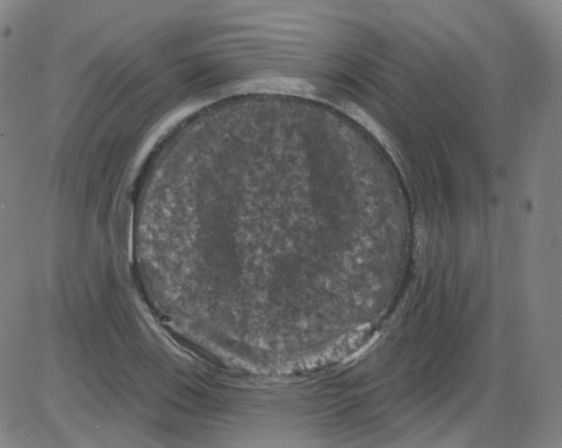 X0000084051123200703161850