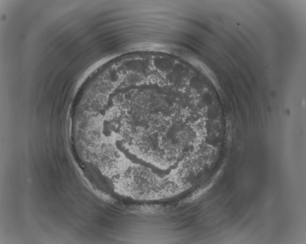 X0000084051125200703161850