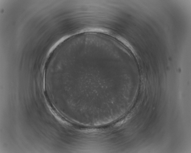 X0000084051127200703161850