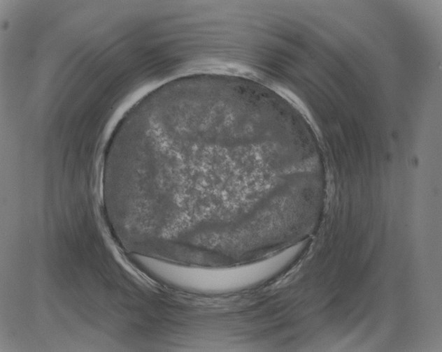 X0000084051128200703161850