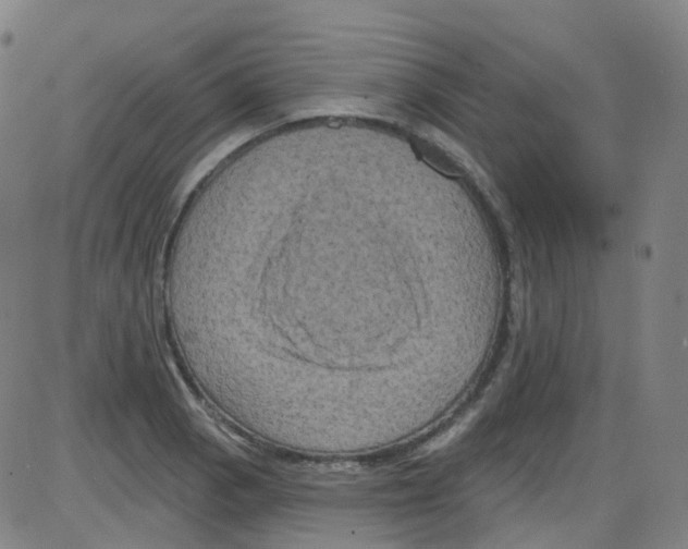 X0000084051129200703161850