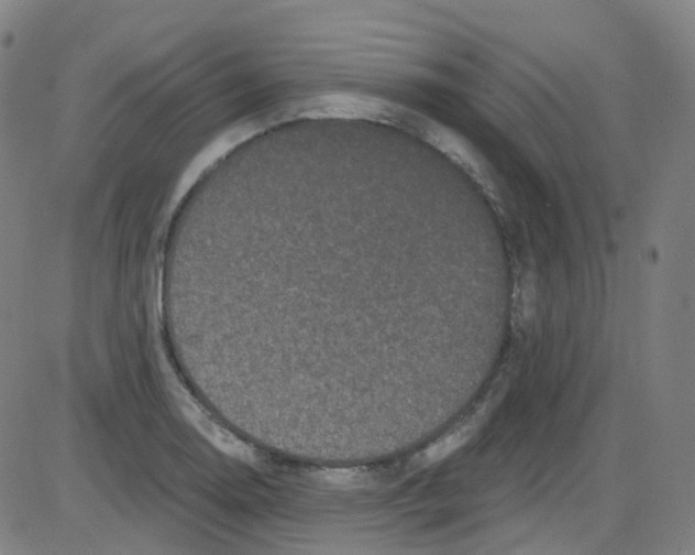 X0000084051130200703161850