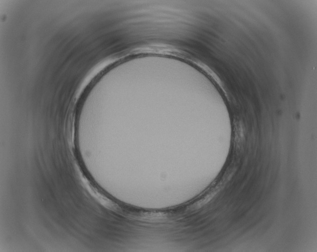 X0000084051131200703161850