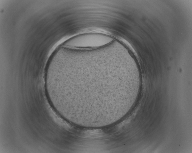 X0000084051133200703161850