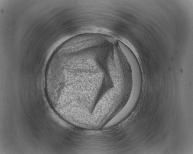 X0000084051136200703161850