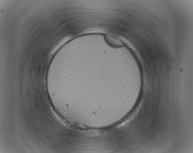 X0000084051137200703161850