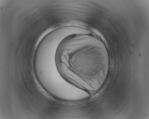 X0000084051138200703161850