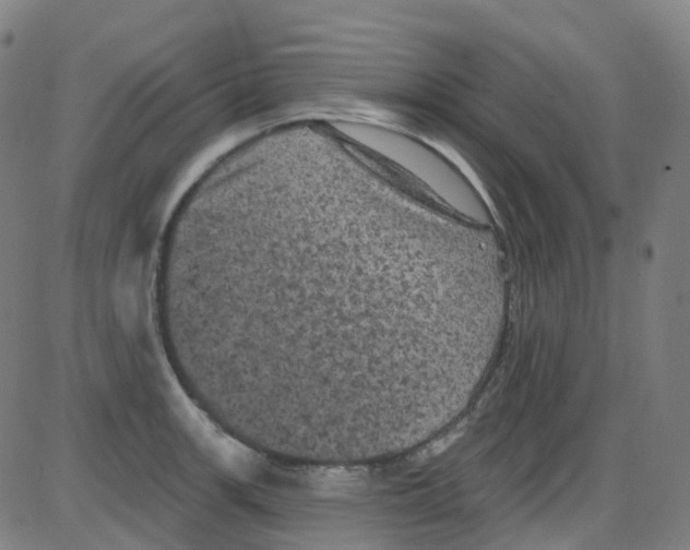 X0000084051139200703161850