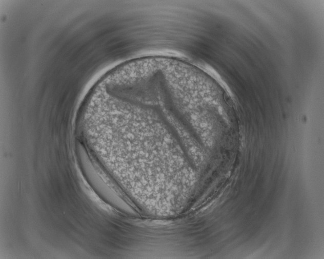 X0000084051140200703161850