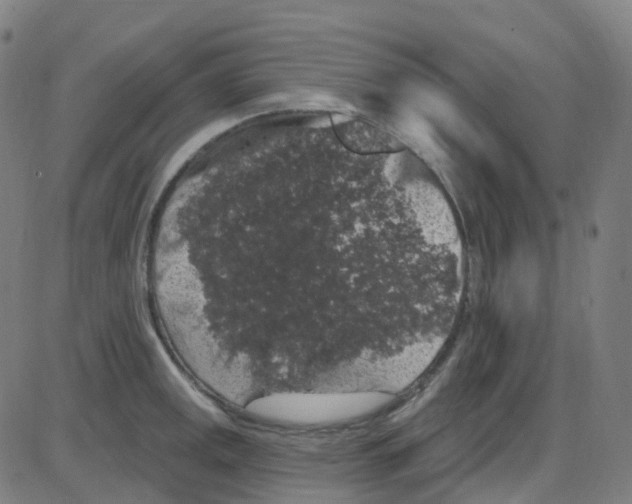 X0000084051141200703161850