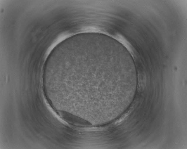 X0000084051142200703161850