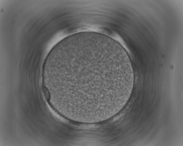 X0000084051143200703161850