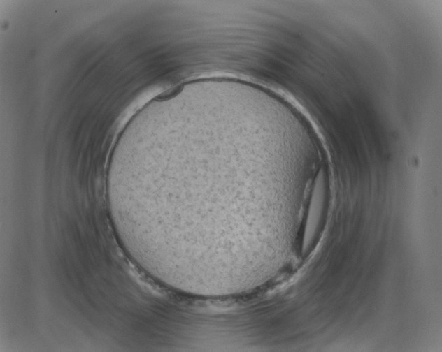 X0000084051145200703161850