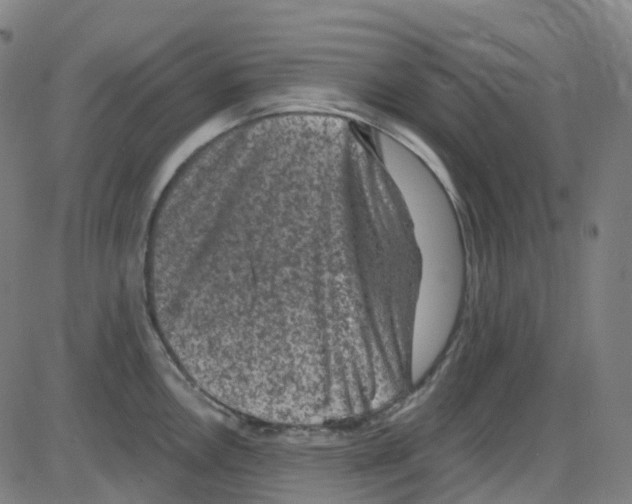 X0000084051146200703161850