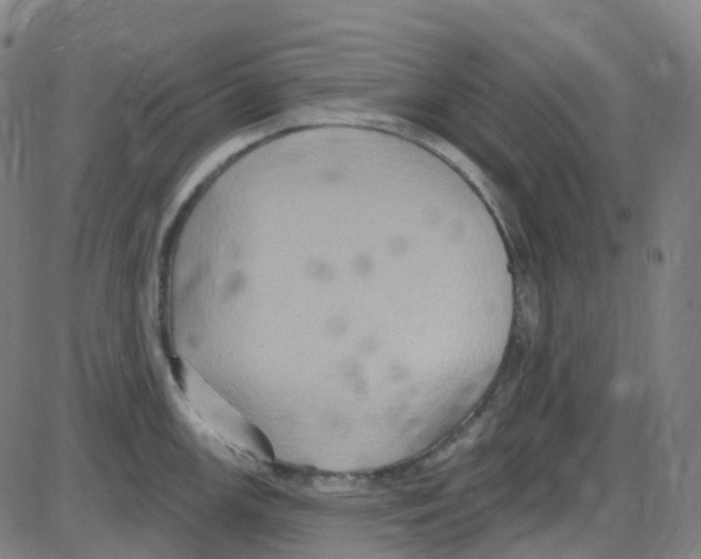 X0000084051147200703161850