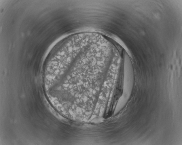 X0000084051148200703161850