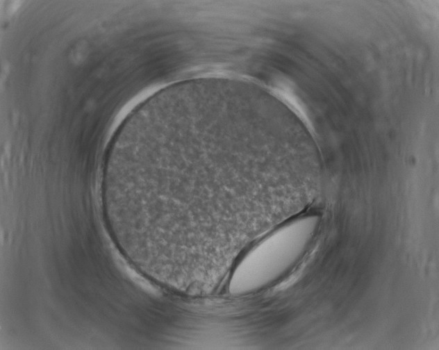 X0000084051149200703161850