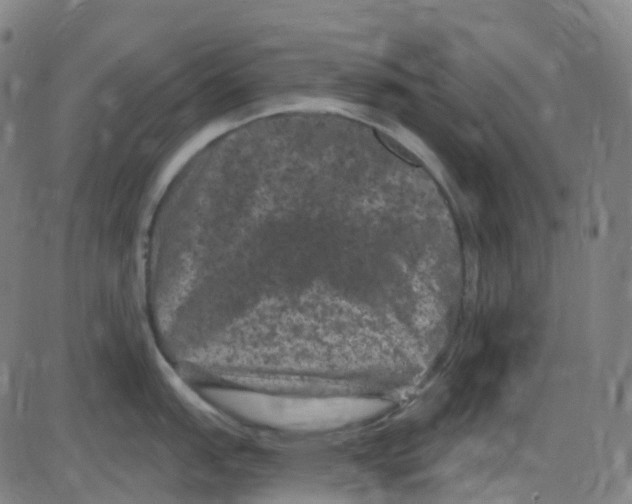 X0000084051151200703161850