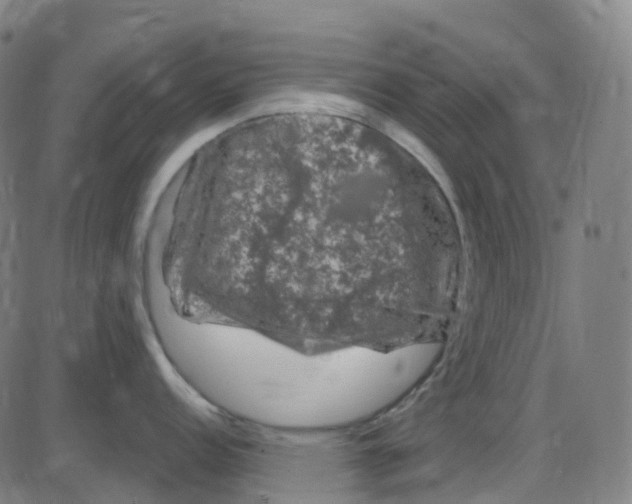 X0000084051152200703161850