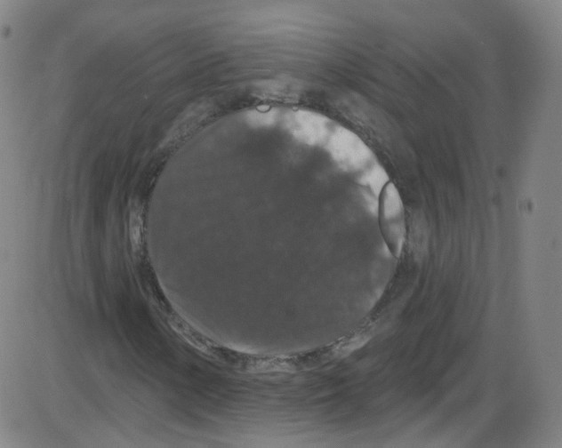 X0000084051154200703161849