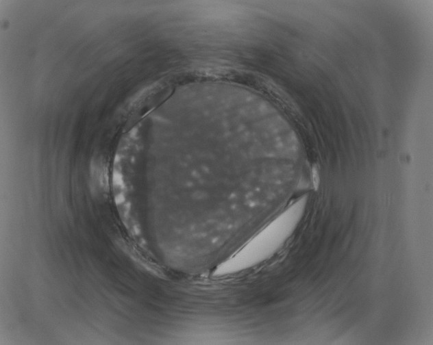 X0000084051155200703161849