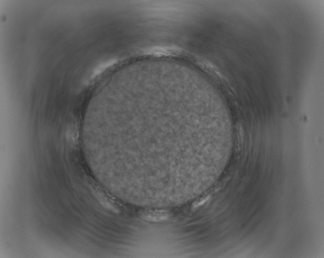 X0000084051158200703161849