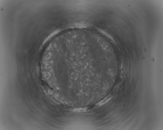 X0000084051160200703161849