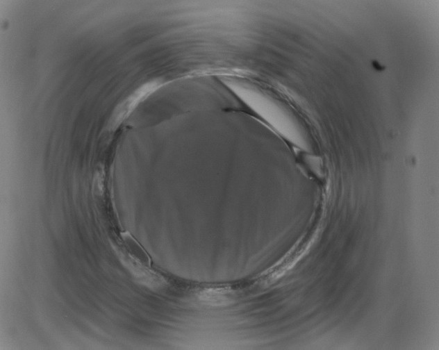 X0000084051161200703161849