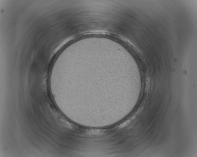 X0000084051162200703161849