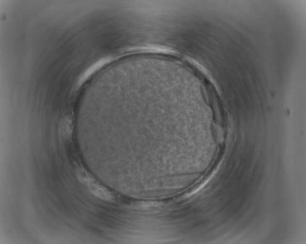 X0000084051163200703161849