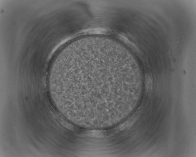 X0000084051166200703161849