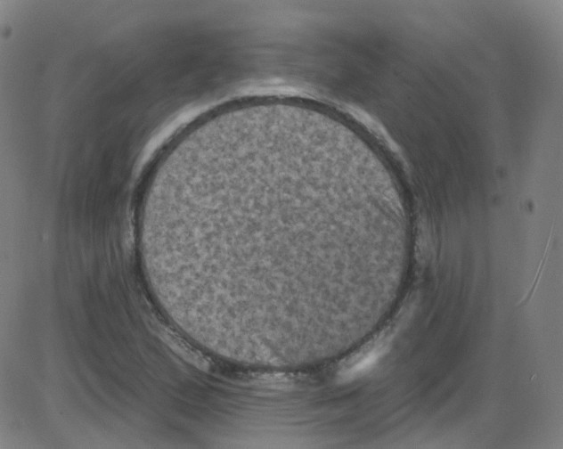 X0000084051167200703161849