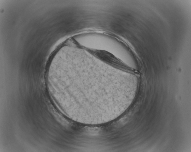 X0000084051168200703161849