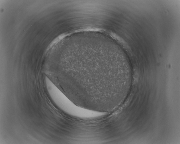 X0000084051169200703161849